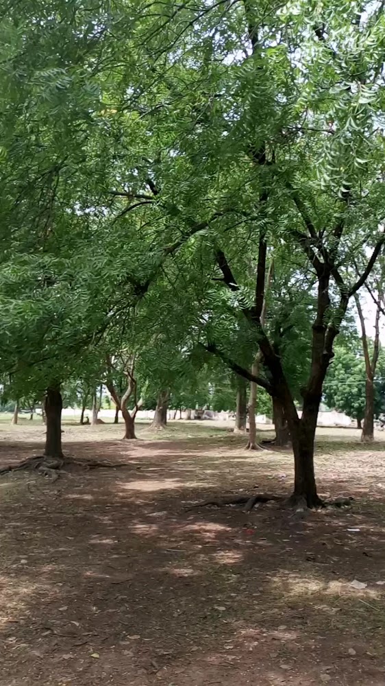 Old Motion Ground photo 2